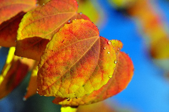 宏睿谈娱乐■深夜发朋友圈的伤感说说，建议珍藏，读了好几遍