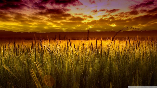 宏睿谈娱乐■简短有哲理的个性签名，句句有意境，总结的很精辟