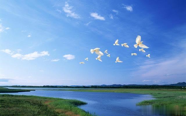 「小明丫说书」50大言情小说排行榜——国民票选：经典言情小说