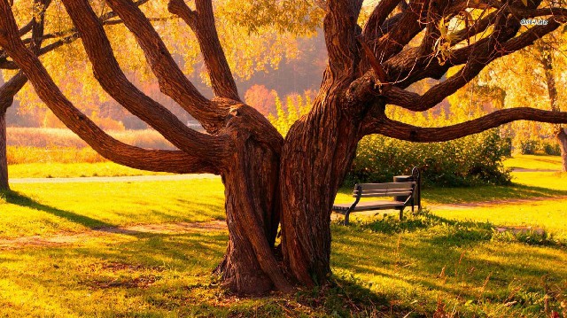 #哲姝讲八卦#人生感悟唯美的句子，句句藏着心事，哪一句说到了你心里