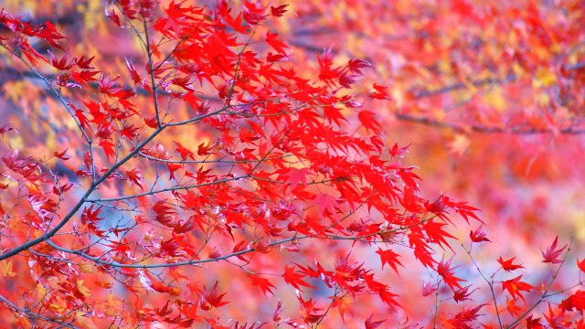 #哲姝讲八卦#人生感悟唯美的句子，句句藏着心事，哪一句说到了你心里