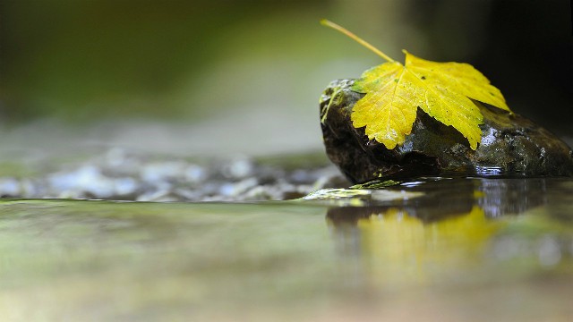 #哲姝讲八卦#人生感悟唯美的句子，句句藏着心事，哪一句说到了你心里