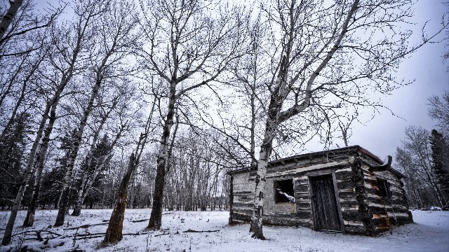 #哲姝讲八卦#人生感悟唯美的句子，句句藏着心事，哪一句说到了你心里