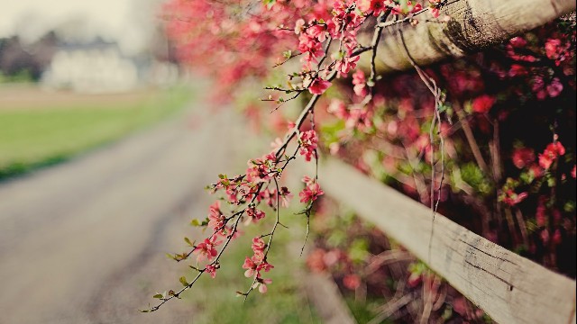 【哲姝讲八卦】适合晚上发朋友圈的语录，句句犀利扎心，总有一句说到你心坎里