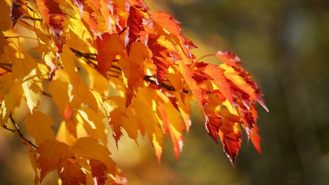 【哲姝讲八卦】适合晚上发朋友圈的语录，句句犀利扎心，总有一句说到你心坎里