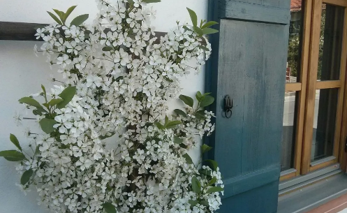 繁花似锦的那年@感情若想长久甜蜜，这一点必须做到