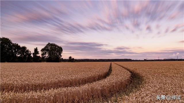 [焦点励志]风雨人生路上，逍遥任我行