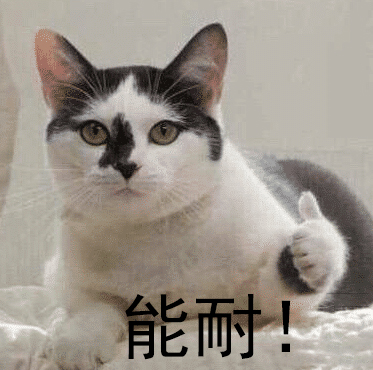 「废写」无论班级还是公司，你所在的团体里总有这样一个人！很准的配置