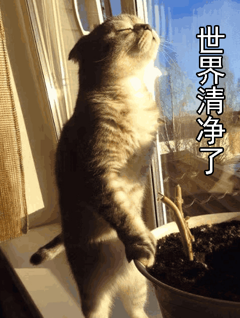 「废写」无论班级还是公司，你所在的团体里总有这样一个人！很准的配置