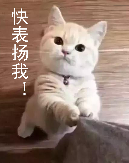 「废写」无论班级还是公司，你所在的团体里总有这样一个人！很准的配置