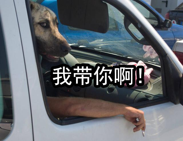 「废写」无论班级还是公司，你所在的团体里总有这样一个人！很准的配置