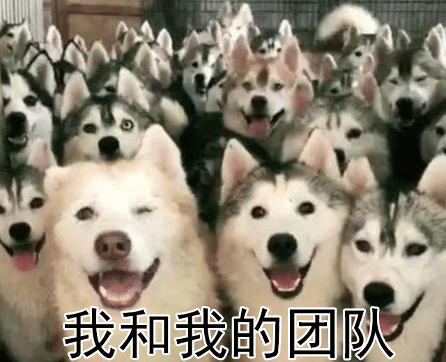 「废写」无论班级还是公司，你所在的团体里总有这样一个人！很准的配置