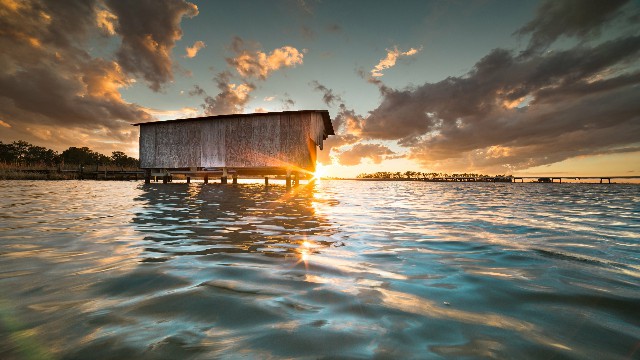 「谈情感的岳洋」最有意境的句子，句句简短唯美，总有一句说到你心坎里