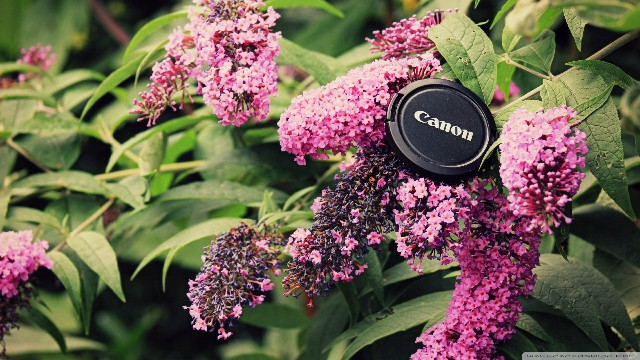 「谈情感的岳洋」最有意境的句子，句句简短唯美，总有一句说到你心坎里