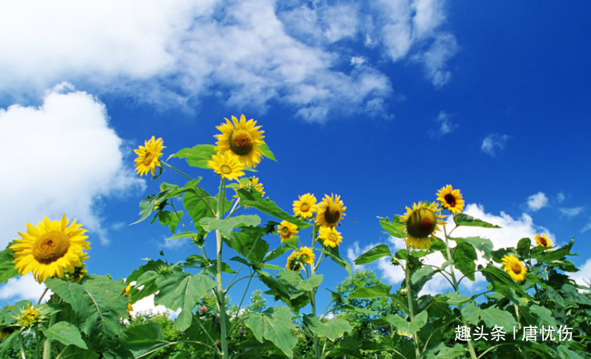 [唐忧伤]一个人被人看不起时，记住三句话，好运自然来