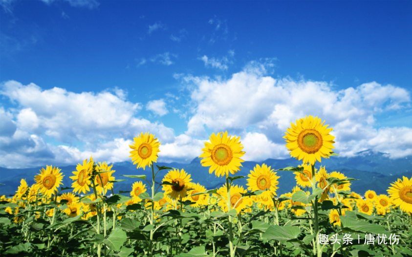 [唐忧伤]一个人被人看不起时，记住三句话，好运自然来