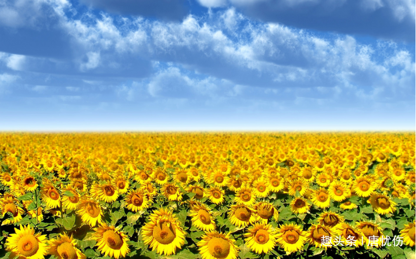 [唐忧伤]一个人被人看不起时，记住三句话，好运自然来