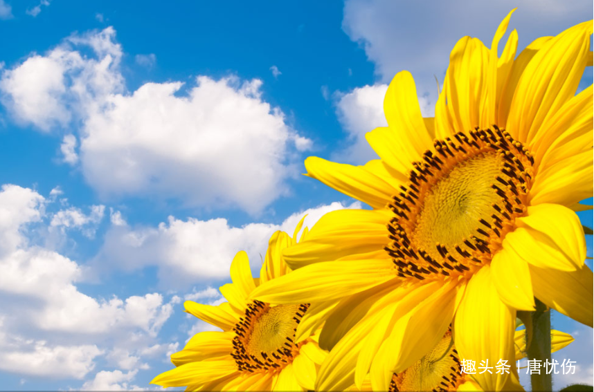 [唐忧伤]一个人被人看不起时，记住三句话，好运自然来