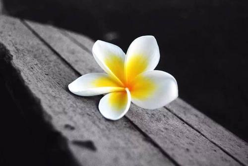 老蒋书房@人到中年，不要太过善良，人情薄如纸就是这个道理