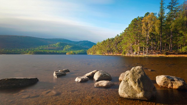 「谈情感的岳洋」伤感却富有诗意的签名，句句压抑，读完真的好难过