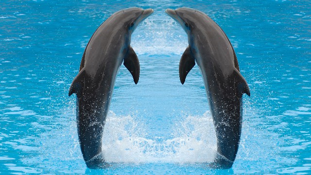 「谈情感的岳洋」伤感却富有诗意的签名，句句压抑，读完真的好难过