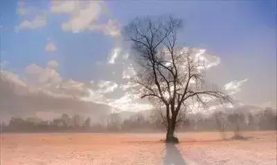 「校园留声机」有种感觉叫做：我懂你！（句句戳心）