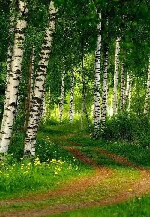 金魁星TB@醒来，又是崭新的一天