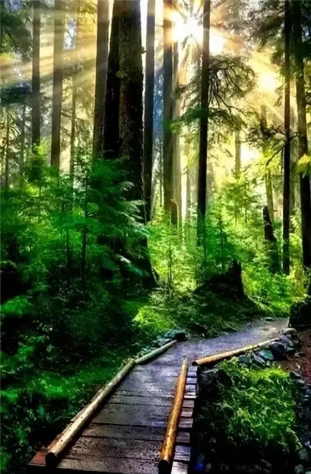 金魁星TB@醒来，又是崭新的一天