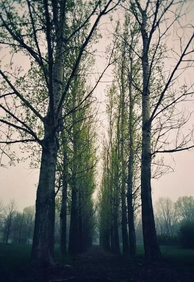 金魁星TB@醒来，又是崭新的一天