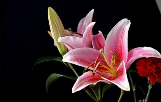 「自在飞花红」人的好运气，从哪里来