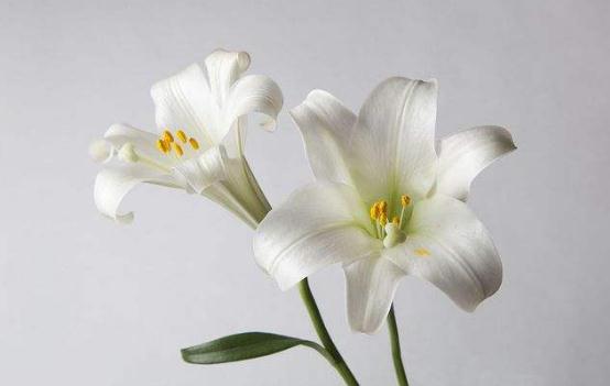 「自在飞花红」人的好运气，从哪里来