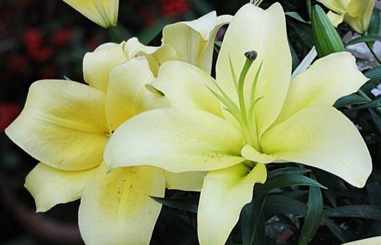 「自在飞花红」人的好运气，从哪里来