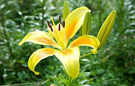 「自在飞花红」人的好运气，从哪里来