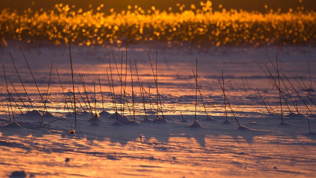 小酒肆说影视：人生感悟唯美的句子，句句激励，让人能量满满