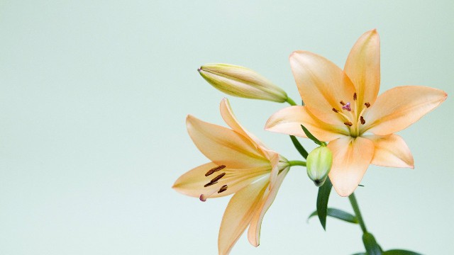 小酒肆说影视：人生感悟唯美的句子，句句激励，让人能量满满