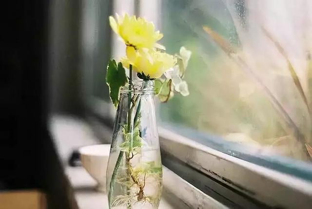 #佳作有约#人生，一半是神马，一半是浮云！（深度好文）