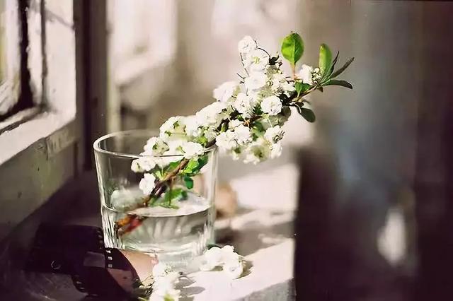 #佳作有约#人生，一半是神马，一半是浮云！（深度好文）