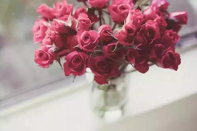 #佳作有约#人生，一半是神马，一半是浮云！（深度好文）