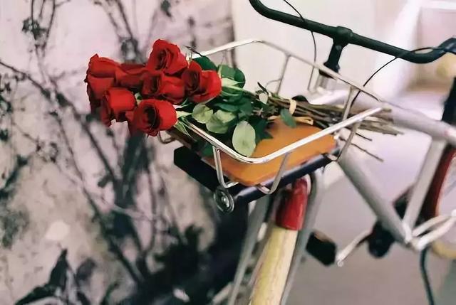 #佳作有约#人生，一半是神马，一半是浮云！（深度好文）