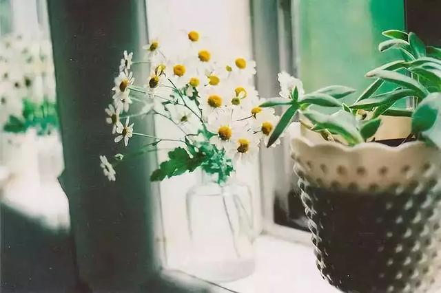 #佳作有约#人生，一半是神马，一半是浮云！（深度好文）