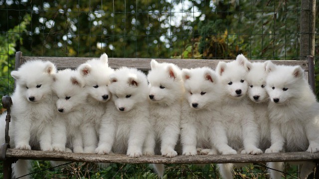 【小酒肆说影视】最近很火的微信段子，句句都非常走心，总有一句说到你心坎里