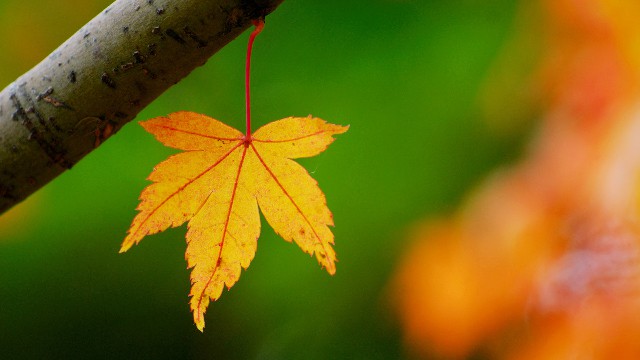 【小酒肆说影视】最近很火的微信段子，句句都非常走心，总有一句说到你心坎里