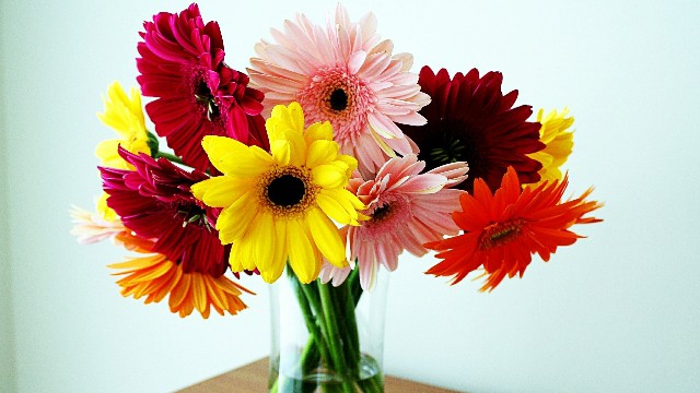 【小酒肆说影视】最近很火的微信段子，句句都非常走心，总有一句说到你心坎里