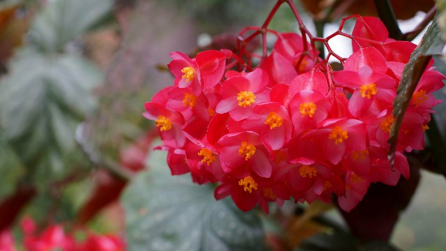 「小酒肆说影视」最简短的经典说说，字字穿心刺骨，说到心坎了