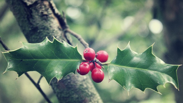 「小酒肆说影视」最简短的经典说说，字字穿心刺骨，说到心坎了