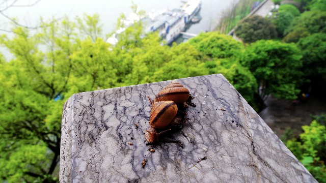 「小酒肆说影视」最简短的经典说说，字字穿心刺骨，说到心坎了