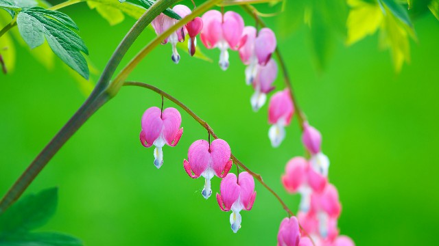 「小酒肆说影视」最简短的经典说说，字字穿心刺骨，说到心坎了