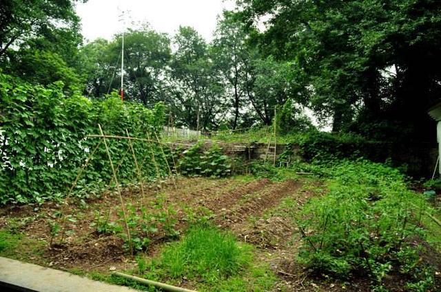 【暖暖冬花】母亲说，过日子要细水长流