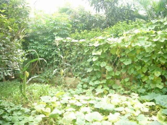 【暖暖冬花】母亲说，过日子要细水长流