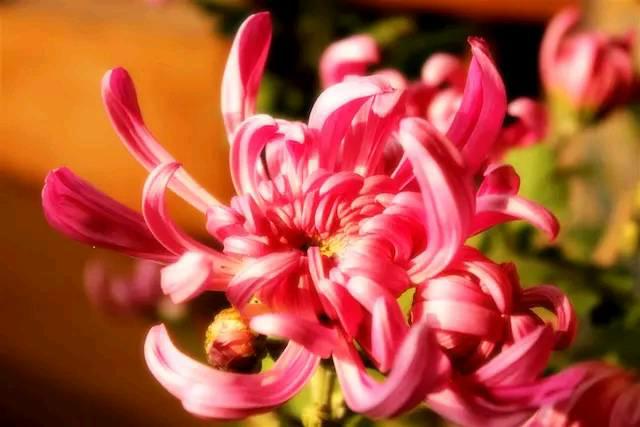 道与欢同学：冷暖自知，我们都是孤独的行者